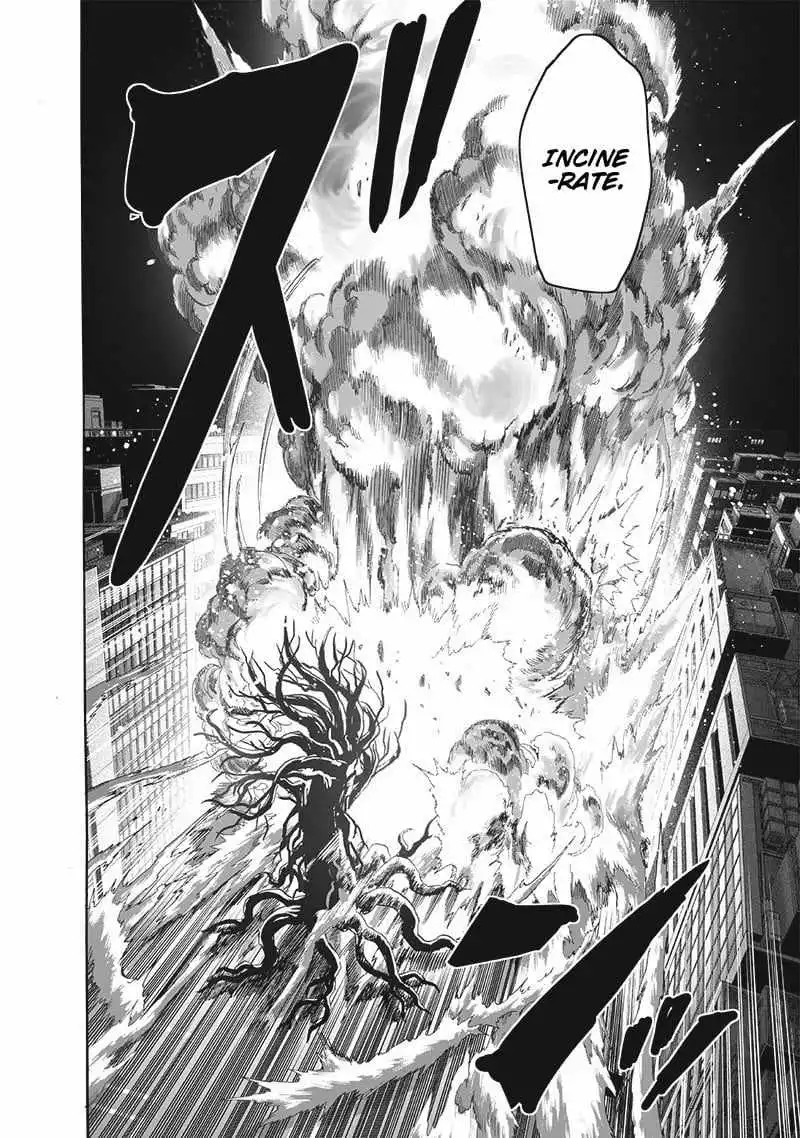 One-Punch Man Chapter 185 24